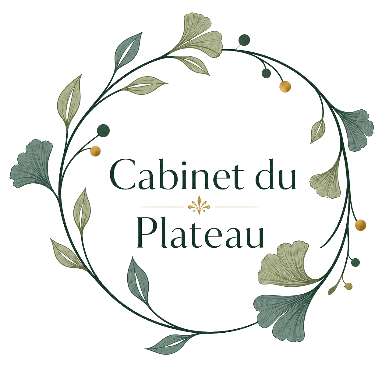 Logo du Cabinet du Plateau